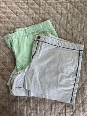 GAP Mint and Light Blue Women's chino Shorts